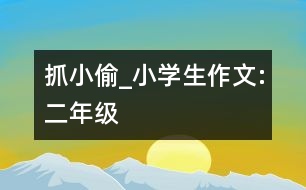 抓小偷_小學(xué)生作文:二年級