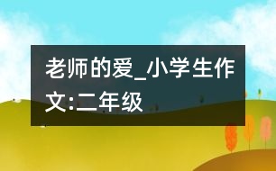 老師的愛_小學(xué)生作文:二年級(jí)