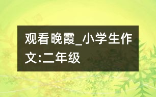觀看晚霞_小學(xué)生作文:二年級