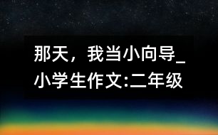 那天，我當小向?qū)小學生作文:二年級