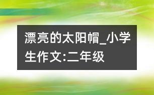 漂亮的太陽帽_小學生作文:二年級