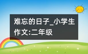 難忘的日子_小學生作文:二年級