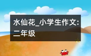 水仙花_小學生作文:二年級
