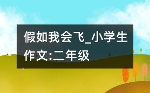 假如我會飛_小學生作文:二年級