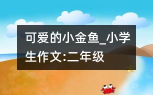 可愛的小金魚_小學(xué)生作文:二年級(jí)