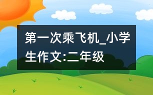 第一次乘飛機_小學生作文:二年級
