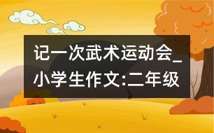記一次武術(shù)運動會_小學生作文:二年級
