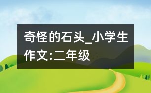 奇怪的石頭_小學生作文:二年級