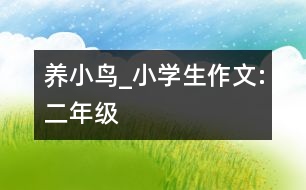 養(yǎng)小鳥_小學生作文:二年級
