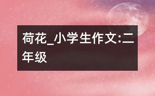 荷花_小學(xué)生作文:二年級