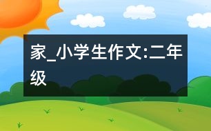 家_小學生作文:二年級