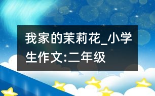 我家的茉莉花_小學(xué)生作文:二年級