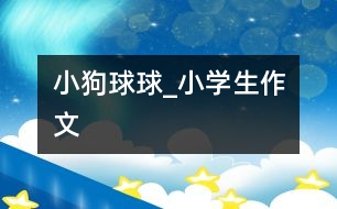 小狗球球_小學生作文