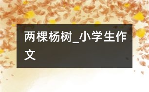 兩棵楊樹(shù)_小學(xué)生作文