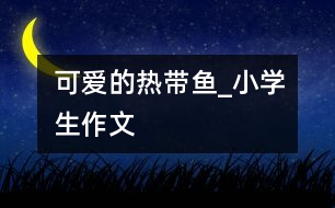 可愛(ài)的熱帶魚(yú)_小學(xué)生作文