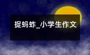 捉螞蚱_小學生作文