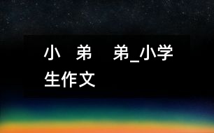 小   弟    弟_小學生作文