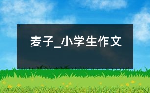 麥子_小學生作文