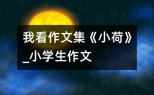 我看作文集《小荷》_小學生作文