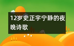 12歲史正宇：寧?kù)o的夜晚（詩(shī)歌）
