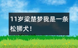 11歲梁楚夢：我是一條松獅犬！