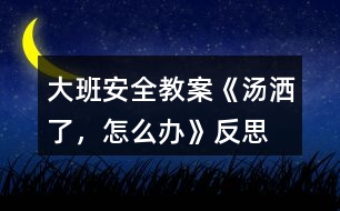 大班安全教案《湯灑了，怎么辦》反思