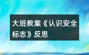 大班教案《認(rèn)識安全標(biāo)志》反思
