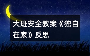 大班安全教案《獨自在家》反思