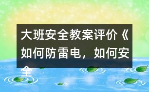 大班安全教案評(píng)價(jià)《如何防雷電，如何安全用電》反思