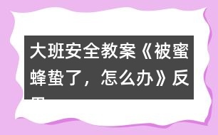 大班安全教案《被蜜蜂蟄了，怎么辦》反思