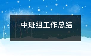 中班組工作總結