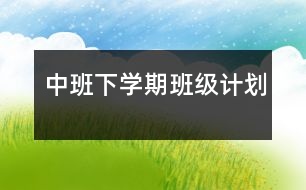 中班下學(xué)期班級計(jì)劃