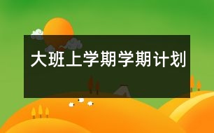 大班上學期學期計劃