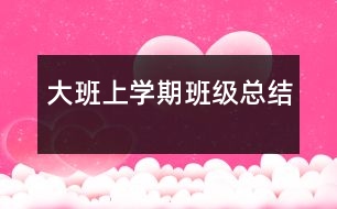 大班上學期班級總結(jié)