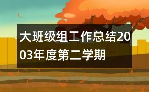 大班級組工作總結（2003年度第二學期）