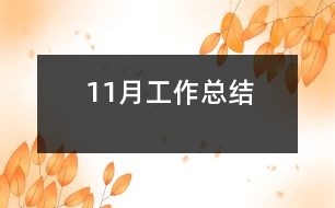 11月工作總結
