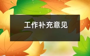 工作補(bǔ)充意見(jiàn)