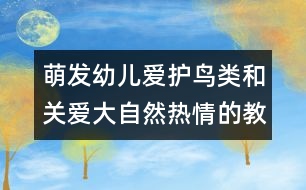 萌發(fā)幼兒愛護鳥類和關愛大自然熱情的教案