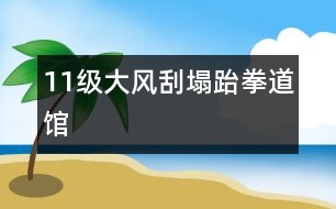 11級大風刮塌跆拳道館