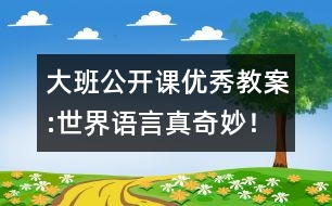 大班公開課優(yōu)秀教案:世界語言真奇妙！