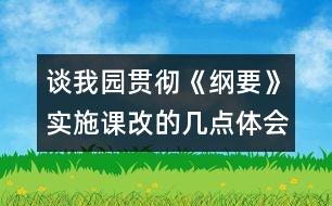 談我園貫徹《綱要》實(shí)施課改的幾點(diǎn)體會