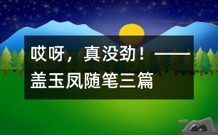 “哎呀，真沒勁！”――蓋玉鳳隨筆三篇