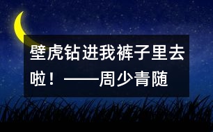 “壁虎”鉆進(jìn)我褲子里去啦！――周少青隨筆兩篇