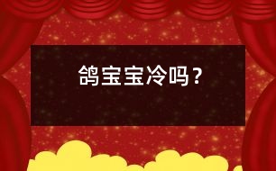 鴿寶寶冷嗎？