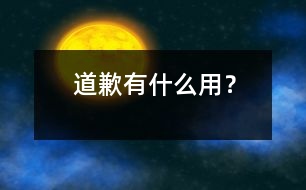 道歉有什么用？