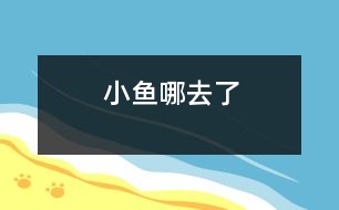 小魚(yú)哪去了