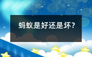 螞蟻是好還是壞？