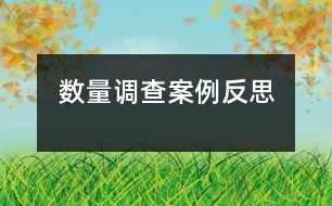 數(shù)量調查案例反思