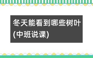 冬天能看到哪些樹(shù)葉(中班說(shuō)課)