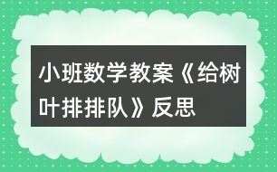 小班數(shù)學(xué)教案《給樹葉排排隊(duì)》反思